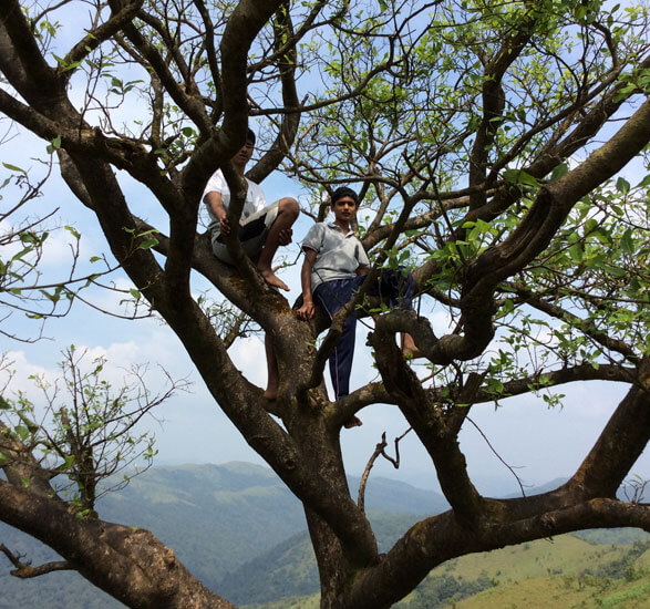 NatureTrek Homestay img9